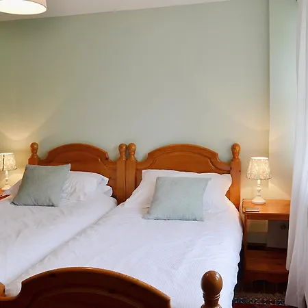 Rose - E1494 * Scalby (North Yorkshire)