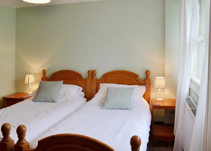 Rose - E1494 * Scalby (North Yorkshire)